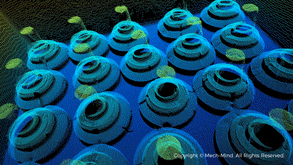 視覺引導工件上料