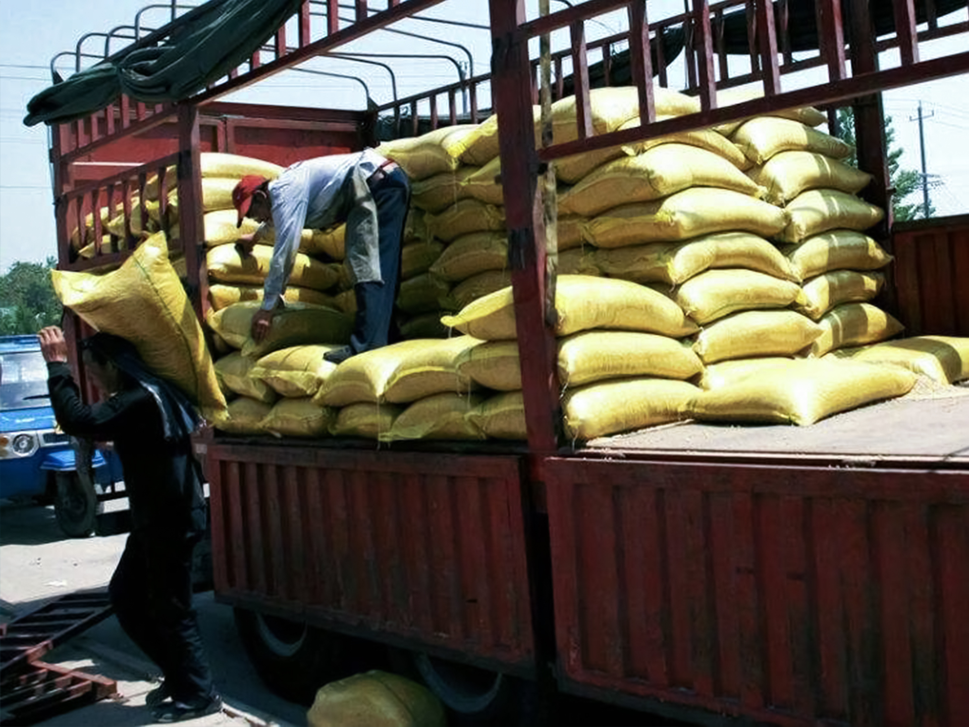 梅卡曼德合作伙伴推出全自動(dòng)機(jī)器人裝卸車解決方案 梅卡曼德合作伙伴推出全自動(dòng)機(jī)器人裝卸車解決方案